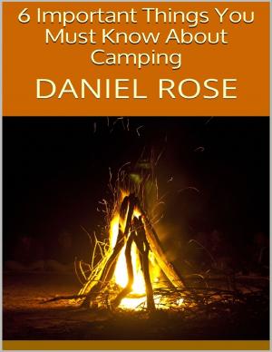 Cover of the book 6 Important Things You Must Know About Camping by Jonathan Thornton, John Cardullo