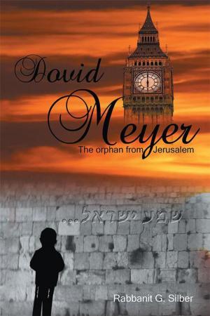 Cover of the book Dovid Meyer by David D M Osano