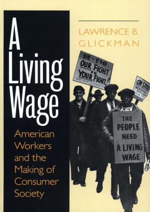 Cover of the book A Living Wage by Martha Finnemore