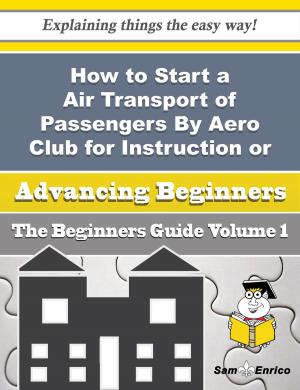 Cover of the book How to Start a Air Transport of Passengers By Aero Club for Instruction or Pleasure Business (Beginn by Hedwig Tibbetts