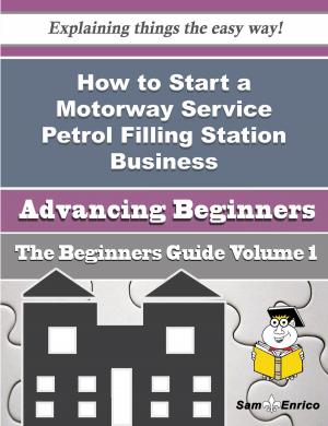 Cover of How to Start a Motorway Service Petrol Filling Station Business (Beginners Guide)