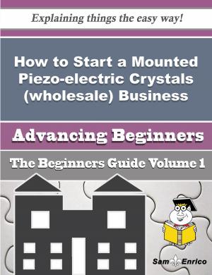 Book cover of How to Start a Mounted Piezo-electric Crystals (wholesale) Business (Beginners Guide)