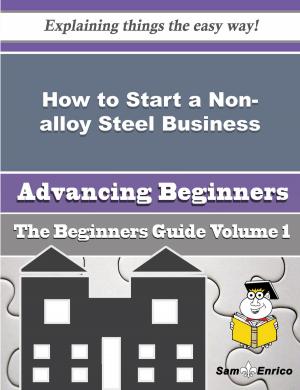 Cover of the book How to Start a Non-alloy Steel Business (Beginners Guide) by Letha Conger