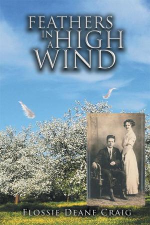Cover of the book Feathers in a High Wind by Donald W. Chisholm “Kool”