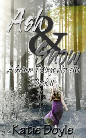 Cover of the book Ash and Snow by Sylvia Volk