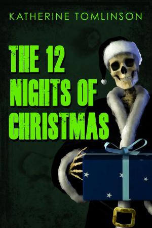 Cover of 12 Nights of Christmas