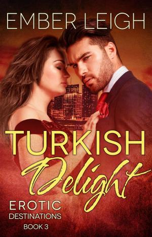 Cover of the book Turkish Delight by Randy Nightwalker