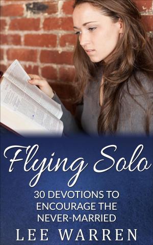 Cover of the book Flying Solo by Summer Haggins
