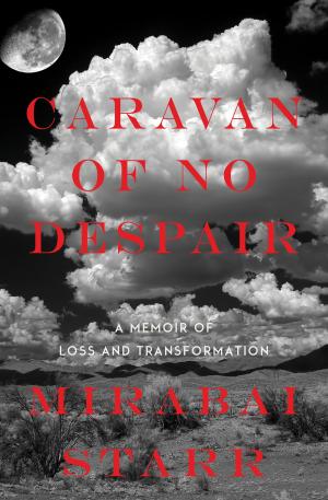 Cover of the book Caravan of No Despair by Adyashanti