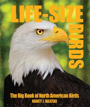 Cover of the book Life-Size Birds by Joost Langeveld