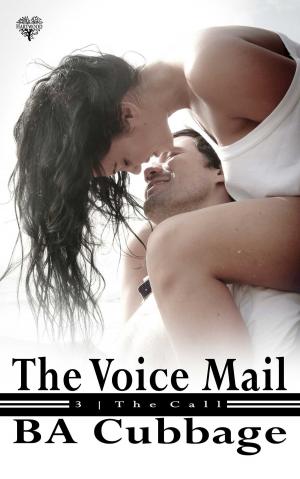 Cover of the book The Voice Mail by Kristen Terrette