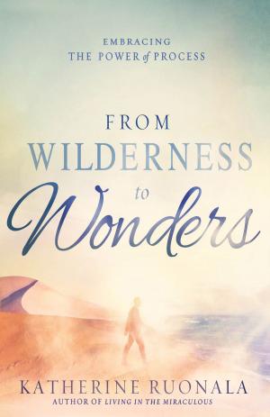 Cover of the book From Wilderness to Wonders by Braxton Cosby, DPT