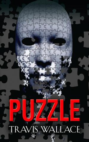 Cover of the book PUZZLE by William Lane