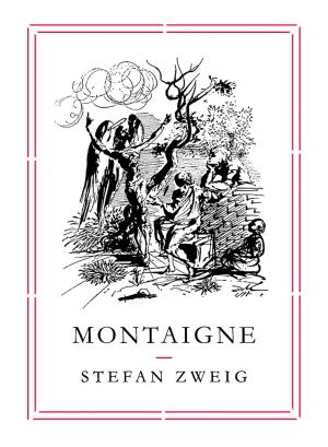 Cover of the book Montaigne by Erwin Mortier