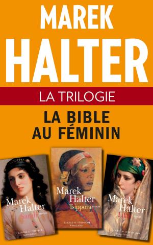 Cover of the book La Trilogie La Bible au féminin by 千慶烏子