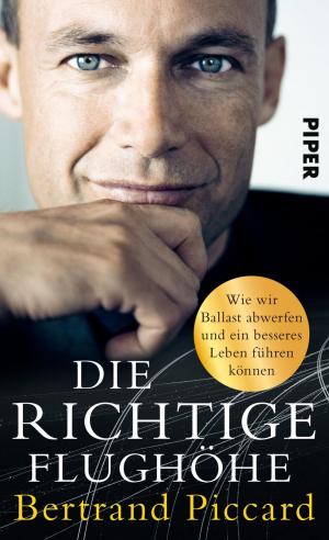 Book cover of Die richtige Flughöhe