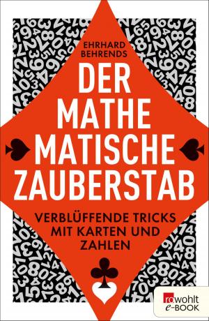 Cover of the book Der mathematische Zauberstab by Jens Bisky