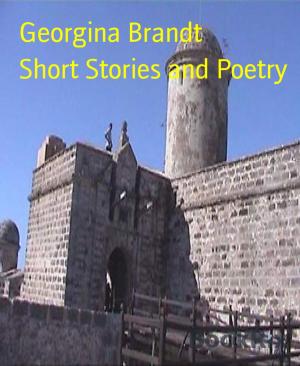 Cover of the book Short Stories and Poetry by Todd Hicks