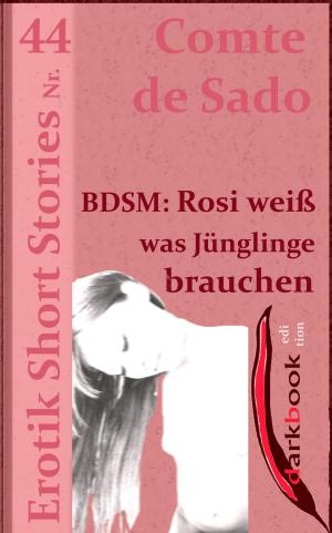 Cover of BDSM: Rosi weiß was Jünglinge brauchen