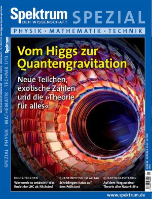 bigCover of the book Vom Higgs zur Quantengravitation by 