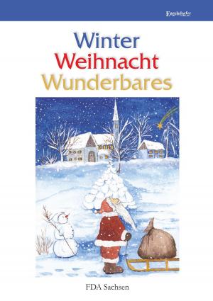 Cover of the book Winter – Weihnacht – Wunderbares by Detlev Sakautzky