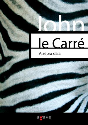 Cover of the book A zebra dala by Jeff VanderMeer