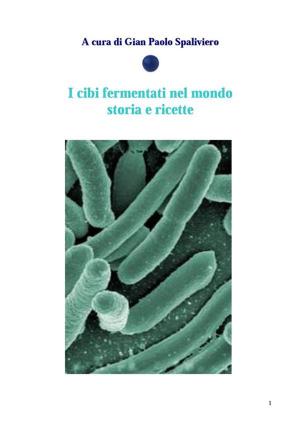 Cover of the book I cibi fermentati nel mondo - Storia e ricette by Giuseppe Culicchia, Elisa Azzimondi