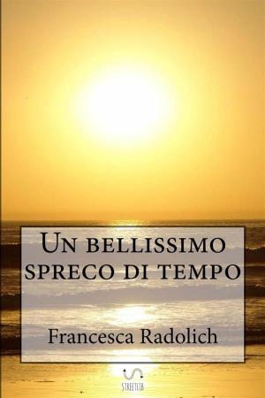 Cover of the book Un bellissimo spreco di tempo by Mariah Martin