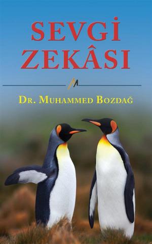 Book cover of Sevgi Zekasi