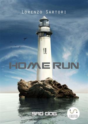 Cover of the book Home Run by Elvio Ravasio