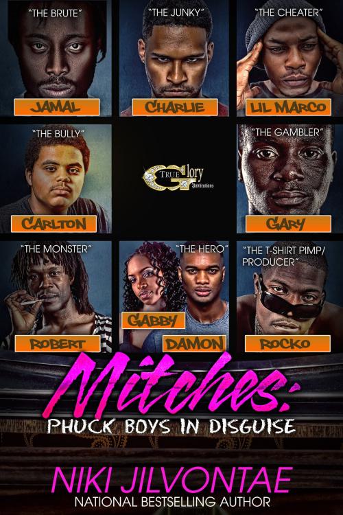 Cover of the book MITCHES by NIKI JILVONTAE, True Glory Publications