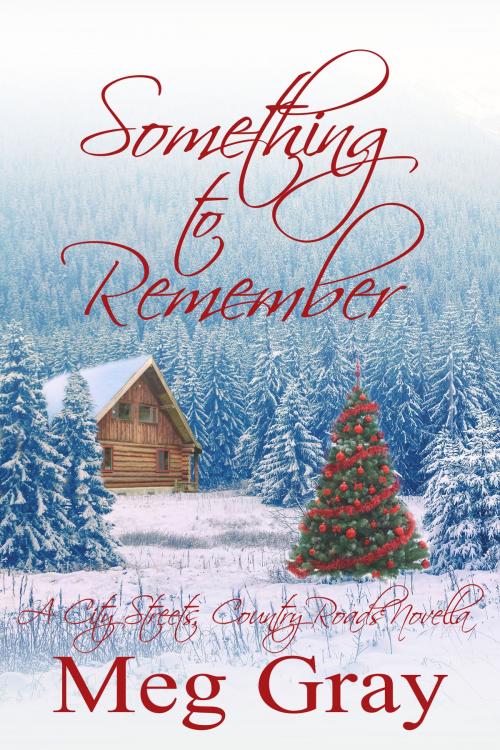 Cover of the book Something to Remember by Meg Gray, Gray Digital Ink, LLC