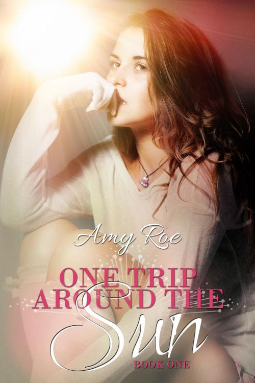 Cover of the book One Trip Around the Sun by Amy Roe, Amy Roe