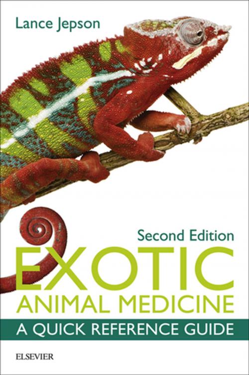 Cover of the book Exotic Animal Medicine - E-Book by Lance Jepson, MA, VetMB, CBiol, MIBiol, MRCVS, Elsevier Health Sciences