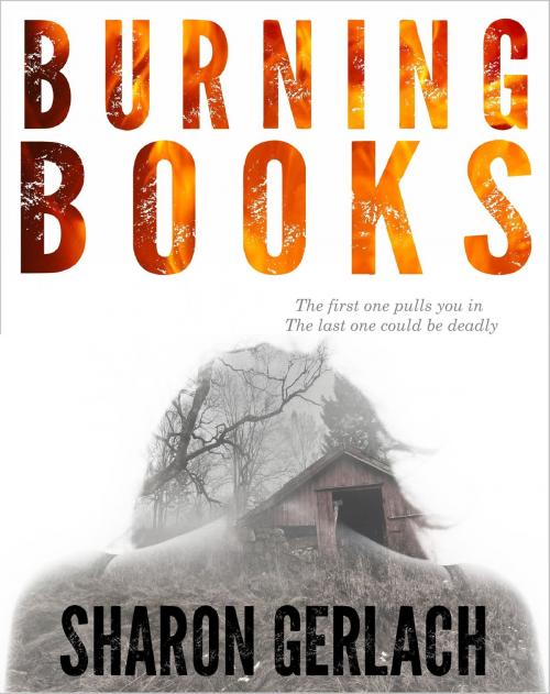 Cover of the book Burning Books by Sharon Gerlach, Sharon Gerlach