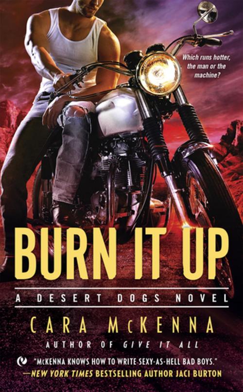 Cover of the book Burn It Up by Cara McKenna, Penguin Publishing Group