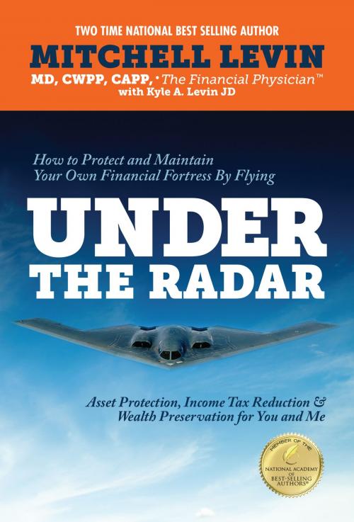 Cover of the book Under The Radar How To Protect And Maintain Your Own Financial Fortress By Flying Under The Radar by Mitch Levin, Mitch Levin