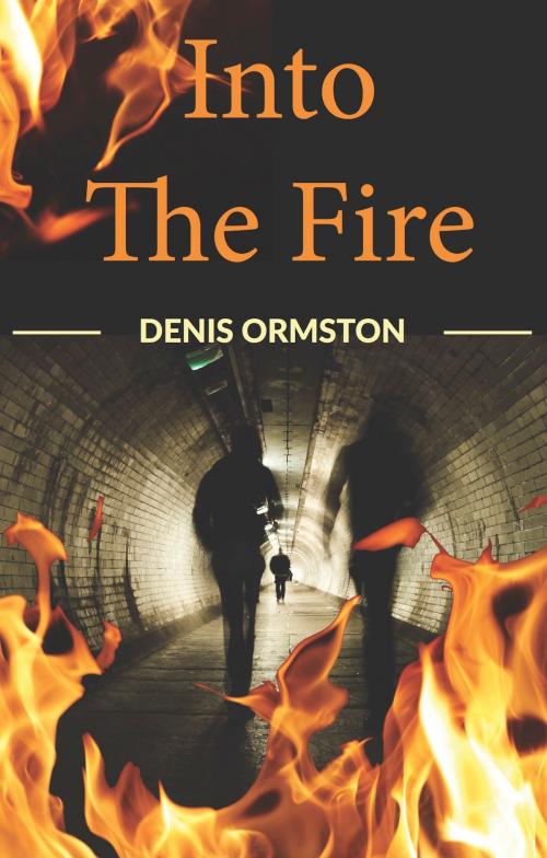 Cover of the book Into The Fire by Denis Ormston, yorkpublishing