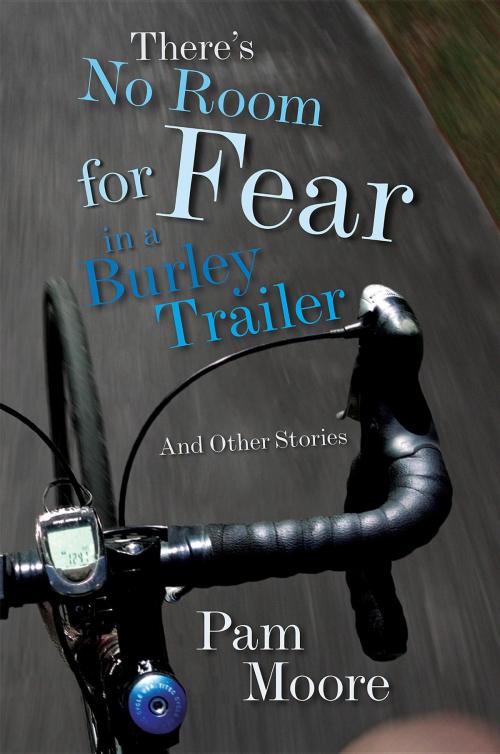 Cover of the book There's No Room for Fear in a Burley Trailer by Pam Moore, Pamela Moore