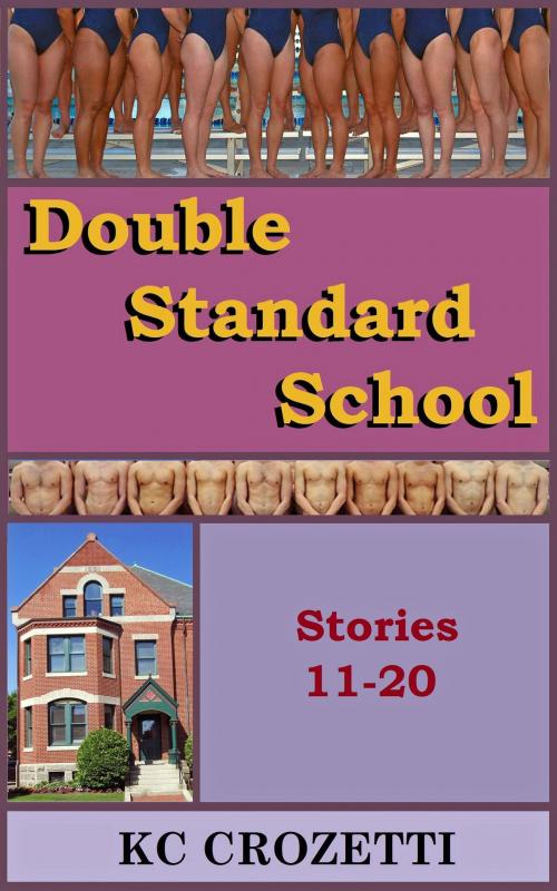 Cover of the book Double Standard School: Stories 11-20 by KC Crozetti, KC Crozetti