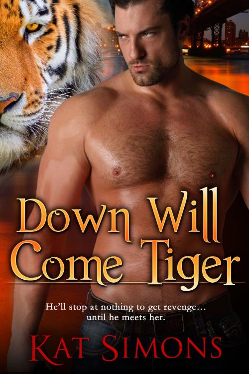 Cover of the book Down Will Come Tiger by Kat Simons, T&D Publishing