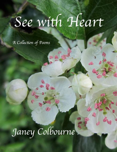 Cover of the book See with Heart by Janey Colbourne, Janey Colbourne