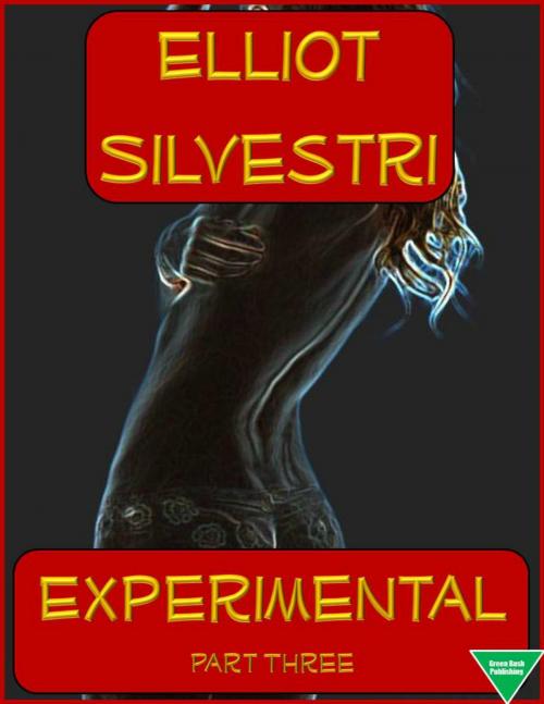 Cover of the book Experimental Part Three by Elliot Silvestri, Elliot Silvestri