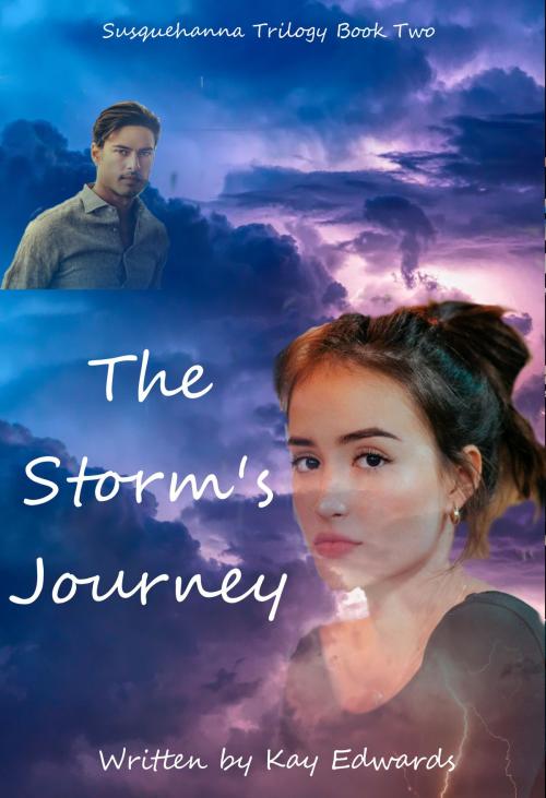 Cover of the book The Storm's Journey by Kay Edwards, Kay Edwards