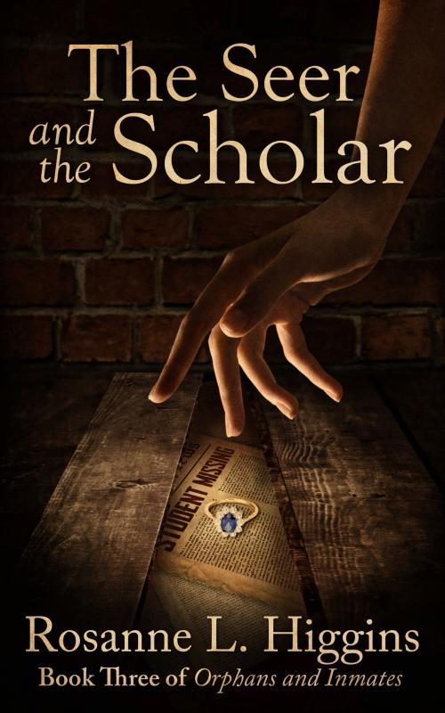 Cover of the book The Seer and the Scholar by Rosanne Higgins, Rosanne Higgins