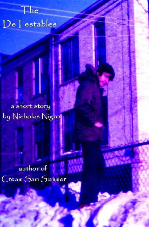 Cover of the book The DeTestables by Nicholas Nigro, Nicholas Nigro
