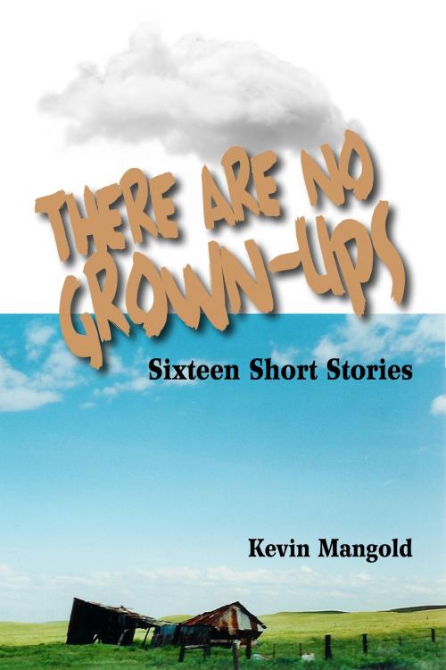 Cover of the book There Are No Grown-Ups by Kevin Mangold, Kevin Mangold