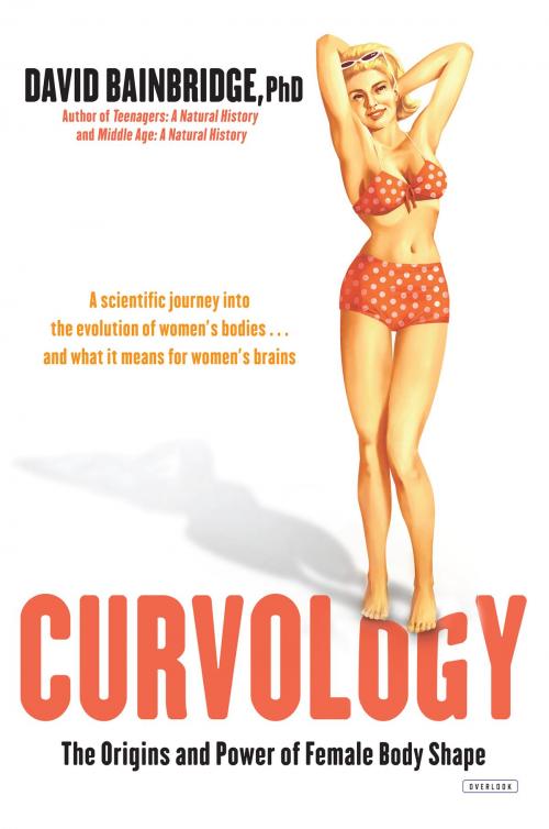 Cover of the book Curvology by David Bainbridge, ABRAMS