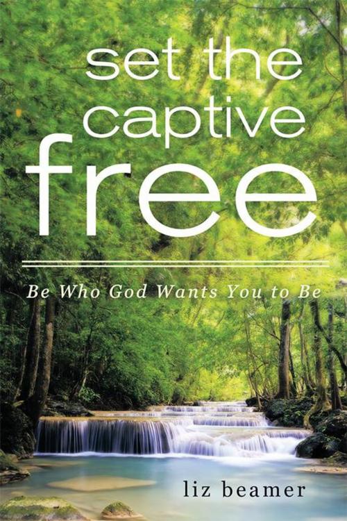 Cover of the book Set the Captive Free by Liz Beamer, LifeRich Publishing