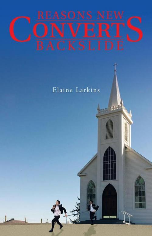 Cover of the book Reasons New Converts Backslide by Elaine Larkins, WestBow Press